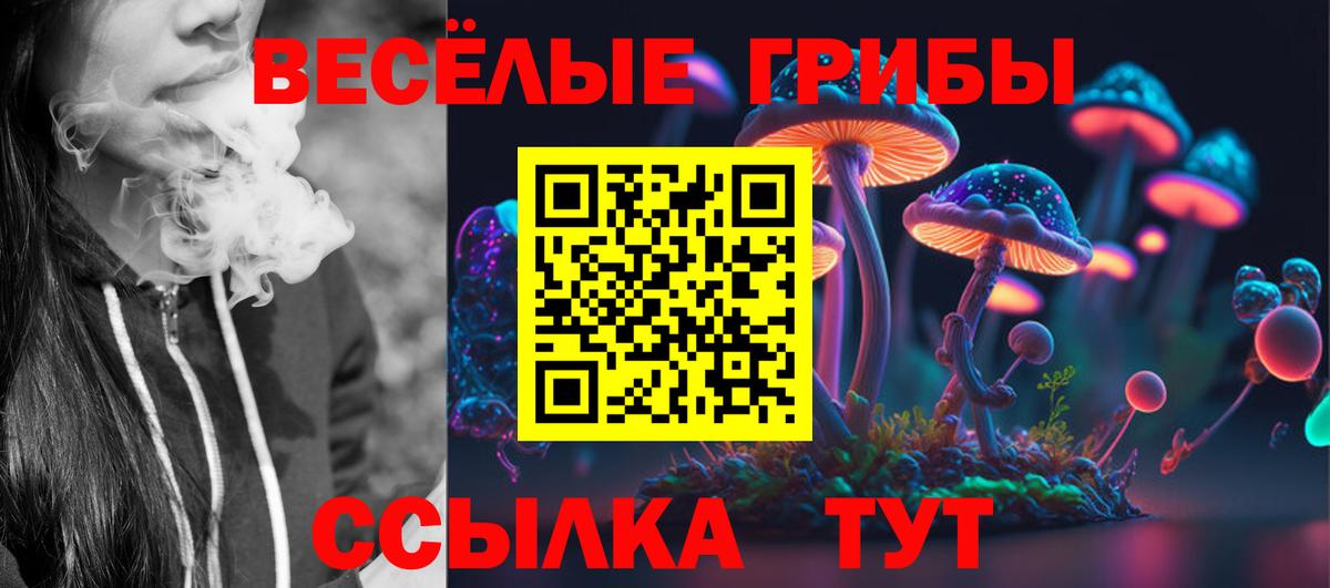 Галлюциногенные грибы Psilocybe Добрянка
