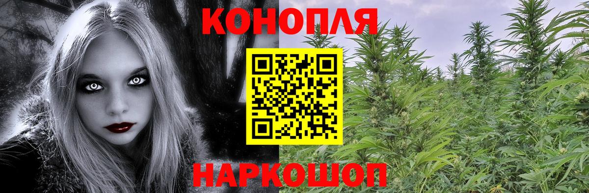 МАРИХУАНА план Добрянка
